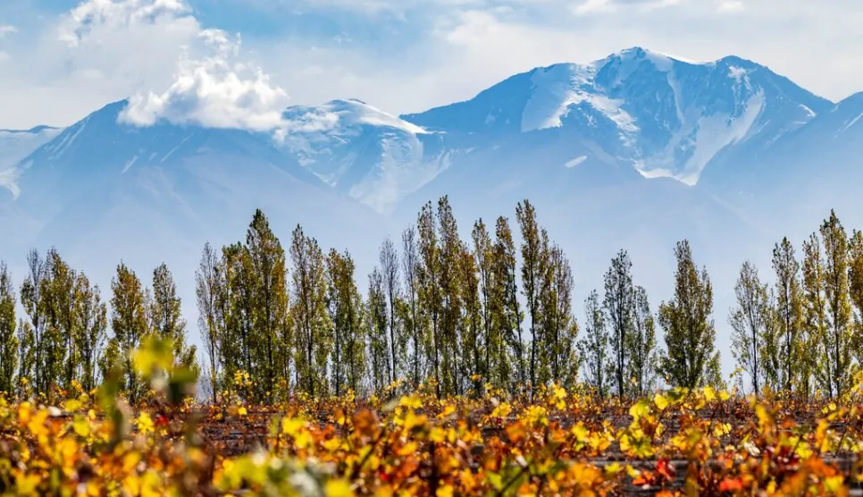 A VILÁG BORAI EGY HELYEN