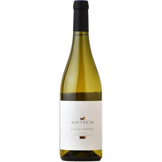 Antech Chardonnay 2024