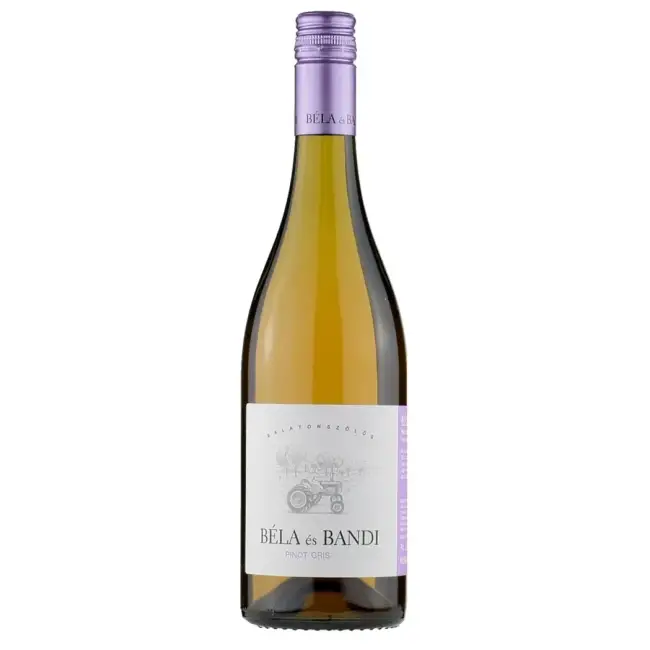 Béla és Bandi Pinot Gris 2024