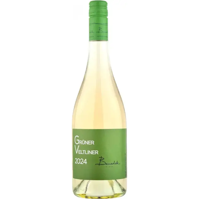 Benedek Zöldveltelini 2024 (V)