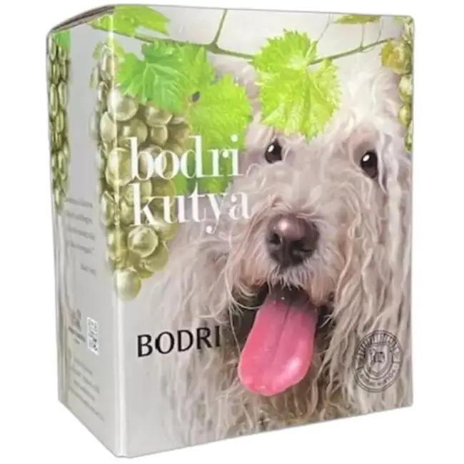 Bodri Pincészet Bodrikutya Fehér Cuvée 2024 3L