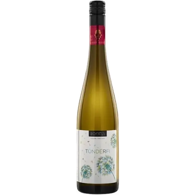 Borbély Tündérfi 2024