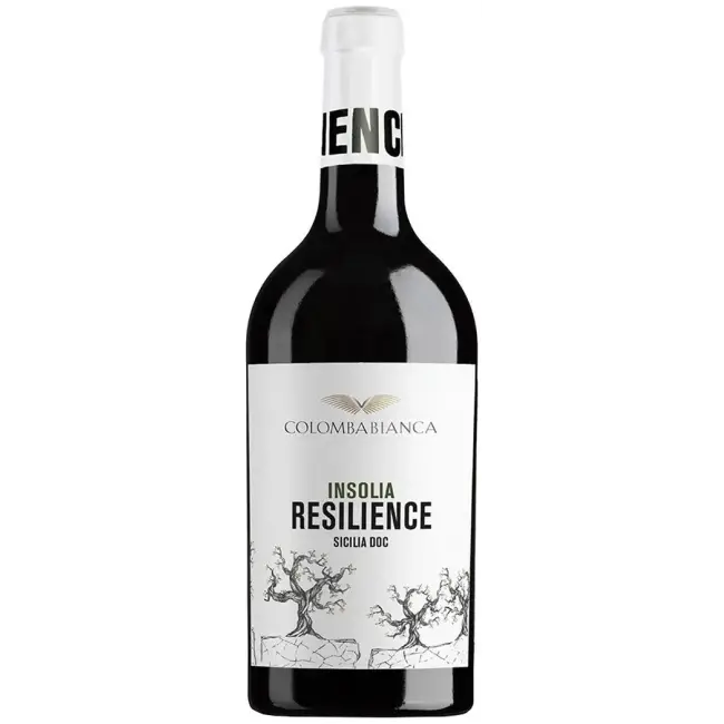 Colomba Bianca Resilience Insolia 2024