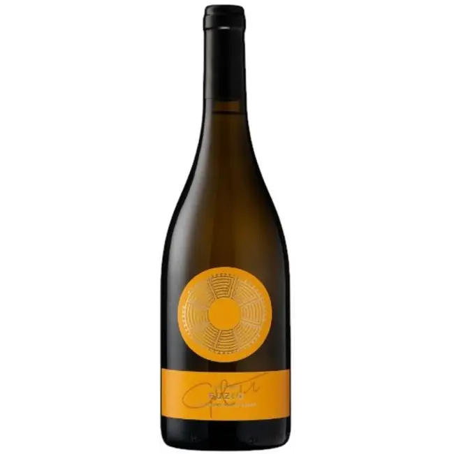 Gál Tibor Fuzio 2024