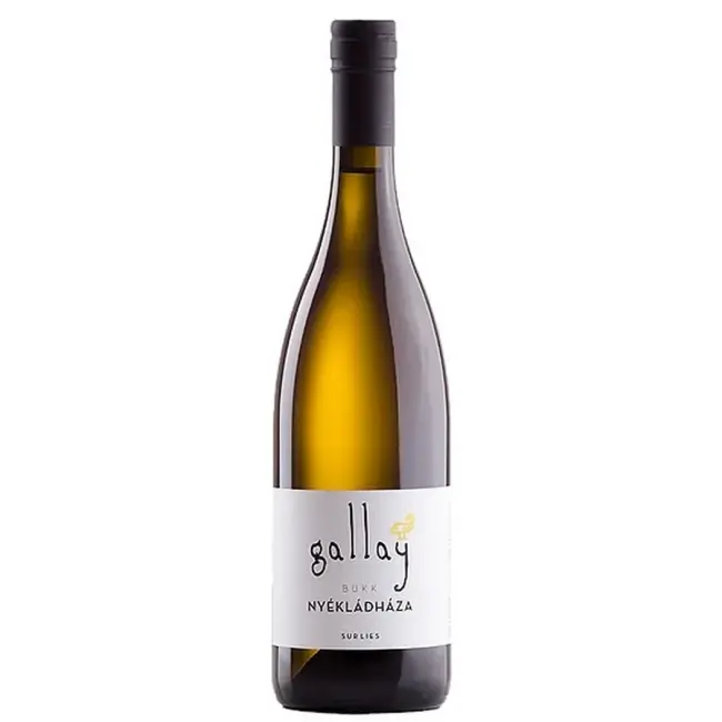 Gallay Nyékládháza 2021