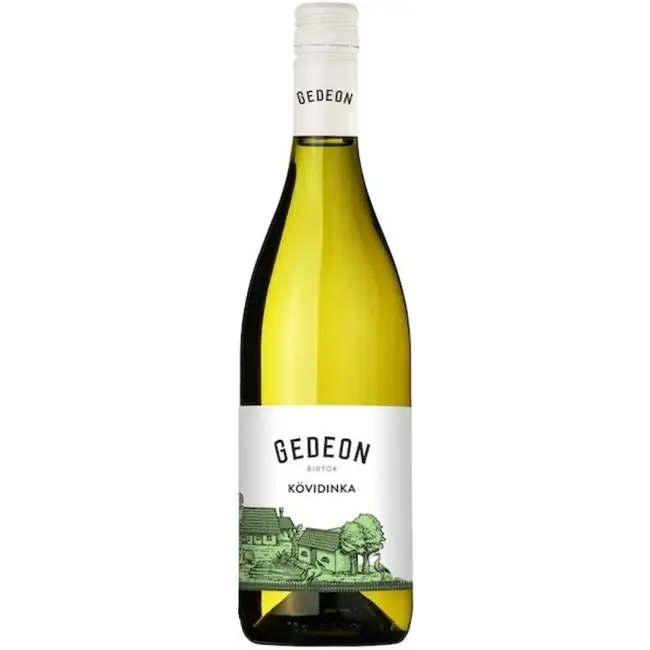 Gedeon Kövidinka 2024 (V)