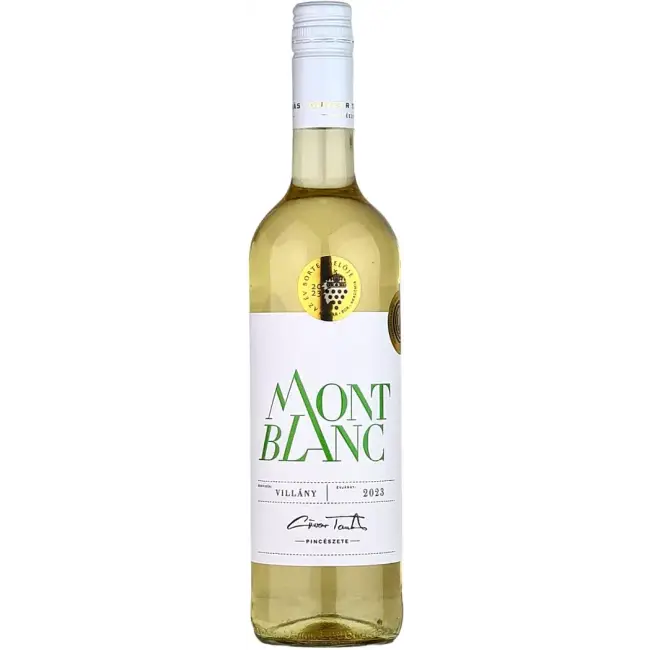 Günzer Tamás Mont Blanc 2025