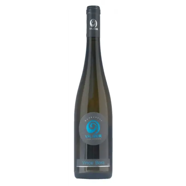 Válibor Vince bora 2020