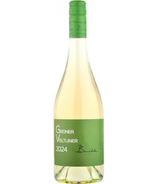 Benedek Zöldveltelini 2024 (V)