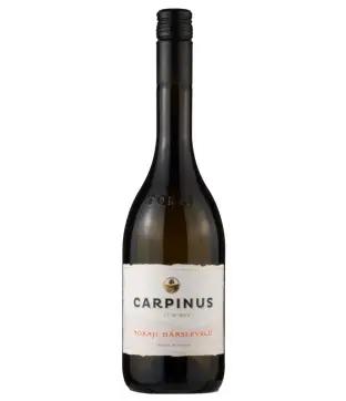 Carpinus Hárslevelű 2024