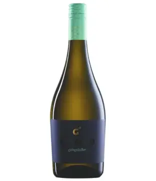 Patricius Giorgio 2024 Gyöngyöző (V)