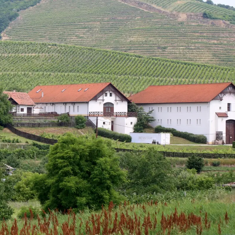 Tokaj-Hétszőlő