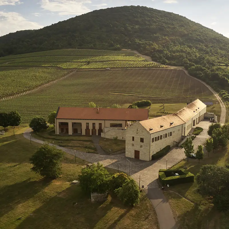 Béres Szőlőbirtok