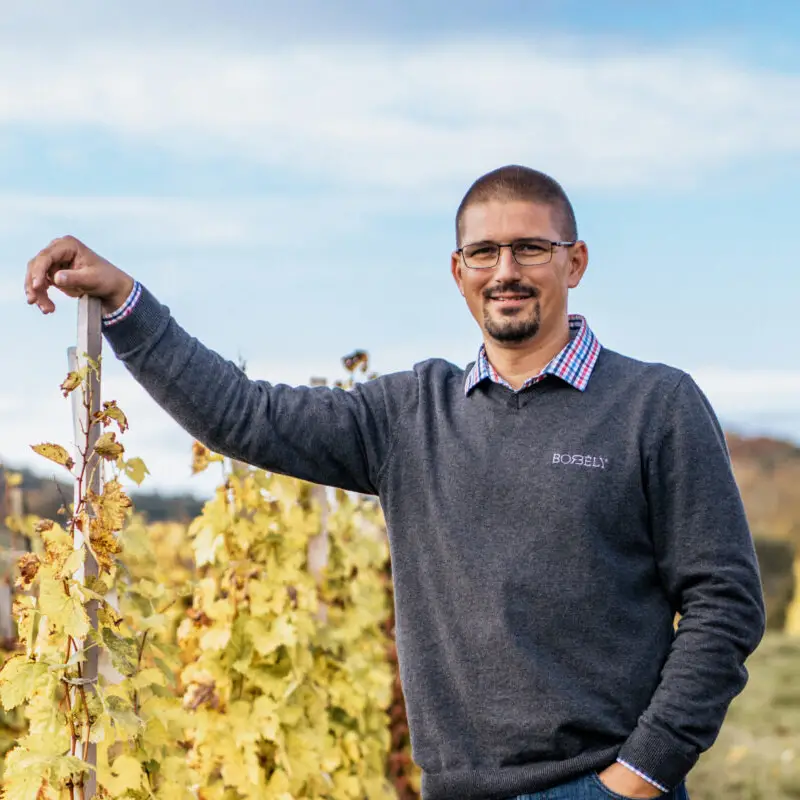 Borbély Családi Pincészet