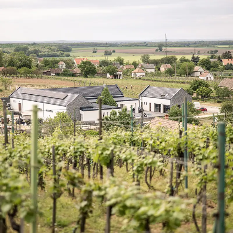 Fehérvári Borbirtok