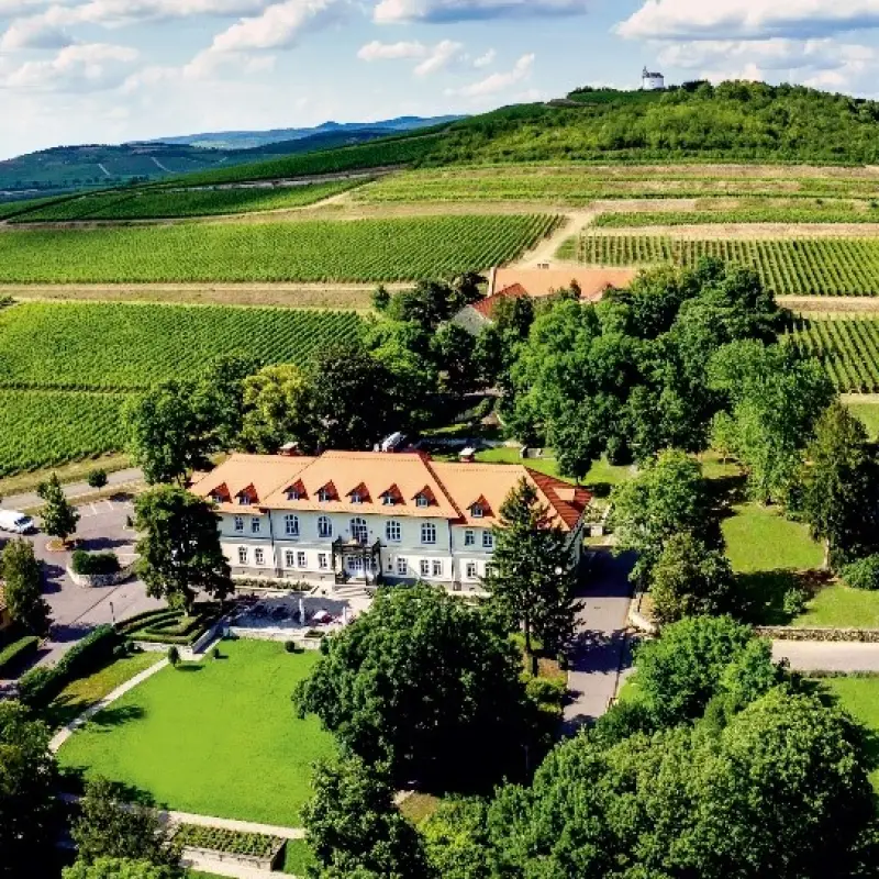 Gróf Degenfeld Szőlőbirtok