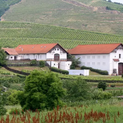 Tokaj-Hétszőlő