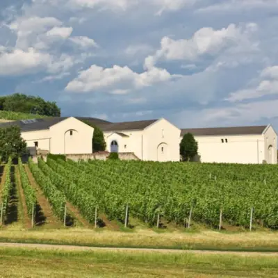 Disznókő pincészet