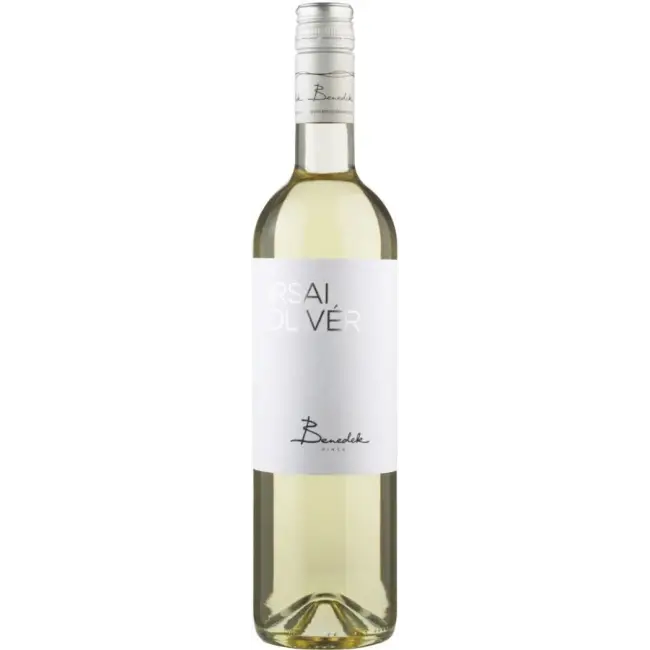 Benedek Irsai Olivér 2025