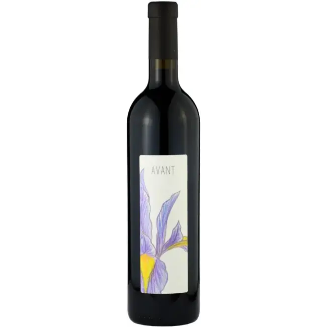 Dániel Pince Avant 2016