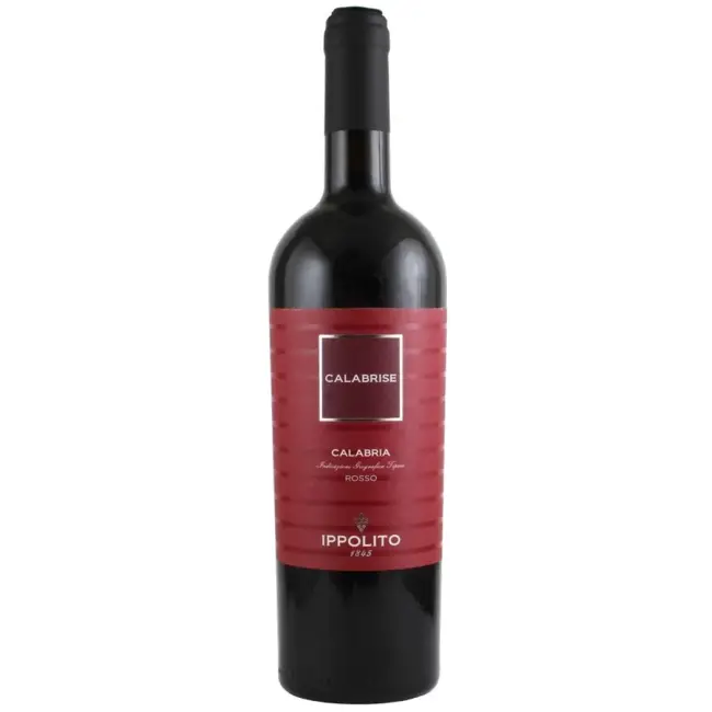 Ippolito Calabrise 2024