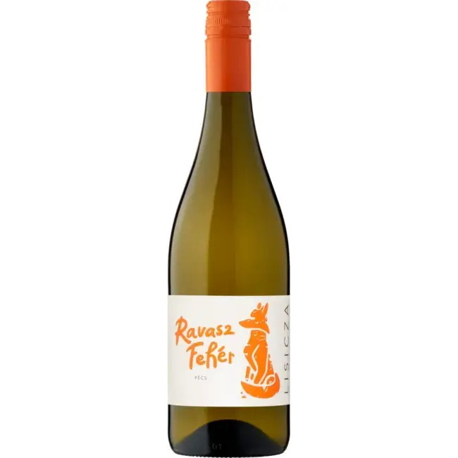 Lisicza Ravasz fehér 2024 (V)
