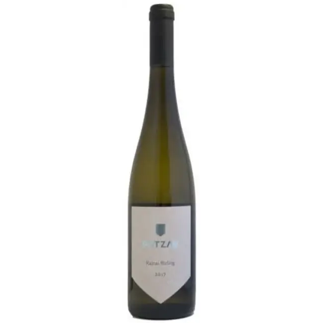 Pátzay Prémium Rajnai Rizling 2023
