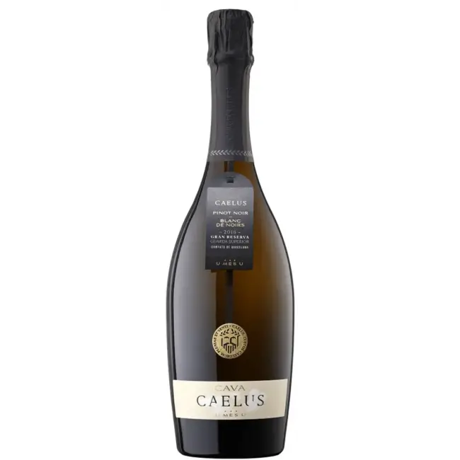 U mes U Caelus Cava Brut Nature Gran Reserva 2016
