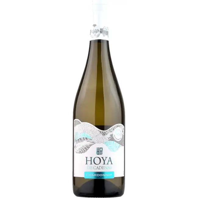 Vicente Gandia Hoya de Cadenas Chardonnay 2024