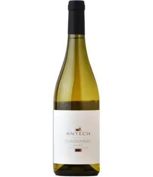 Antech Chardonnay 2024