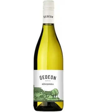 Gedeon Kövidinka 2024 (V)