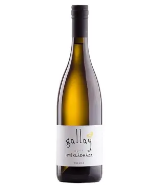 Gallay Nyékládháza 2021