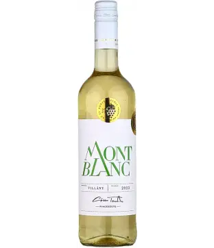 Günzer Tamás Mont Blanc 2025