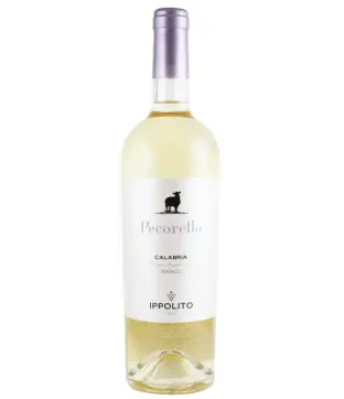 Ippolito Pecorello 2024