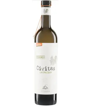 Orsogna Civitas Pecorino 2024 (V)