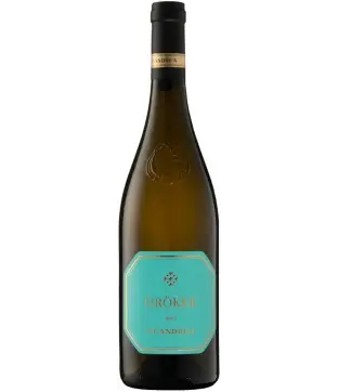 St. Andrea Örökké 2024