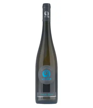 Válibor Vince bora 2020